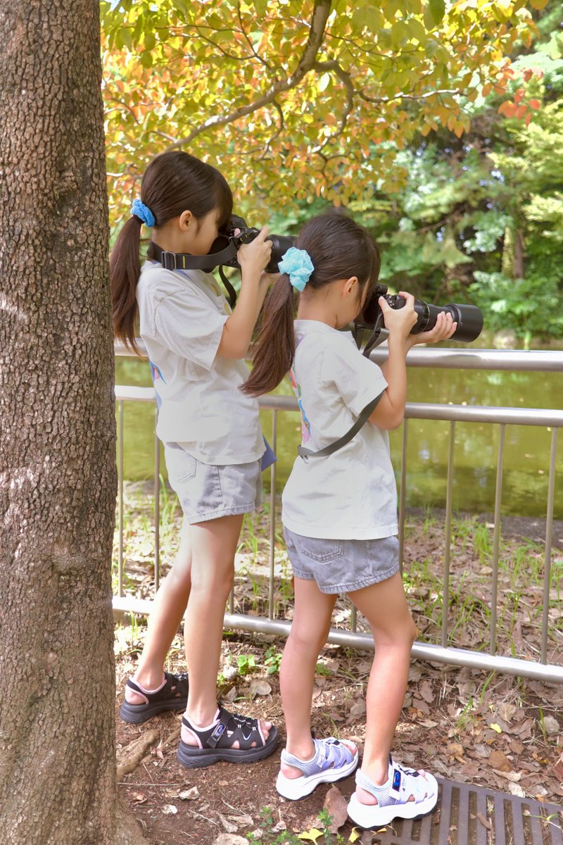 tsuyo428's tweet photo. 800mm姉妹
カワセミ撮れて良かったね。

小4長女:Z8 Z445 2xテレ
小3次女:Nikon 1 V3 + 70-300
51歳父:ZR + Z26
#PonPost #PonZCV #PonZHub https://t.co/p1pMvYNwvw