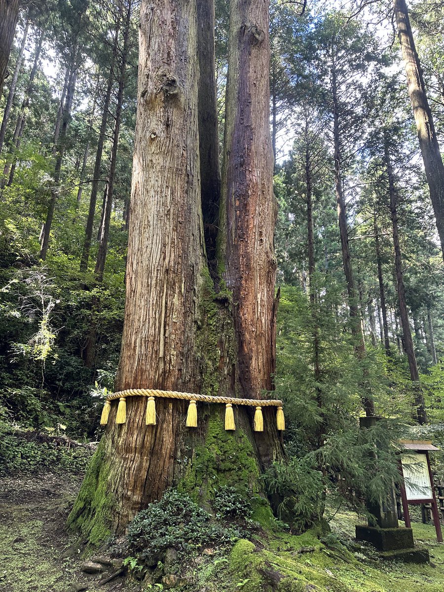 sxrfj761's tweet photo. 毎年恒例の御岩神社台風通過後の今日朝行って山頂まで登って来ました⛩️🗻めちゃくちゃキレイだった✨️今年は、滑ってコケた😅歳感じてきたなあ🥺︎ https://t.co/i0RXFbS65Z