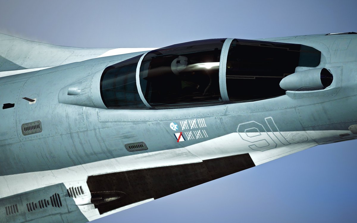 Gyrfalconers's tweet photo. varied close-ups

#ACECOMBAT https://t.co/EObHebTX5S