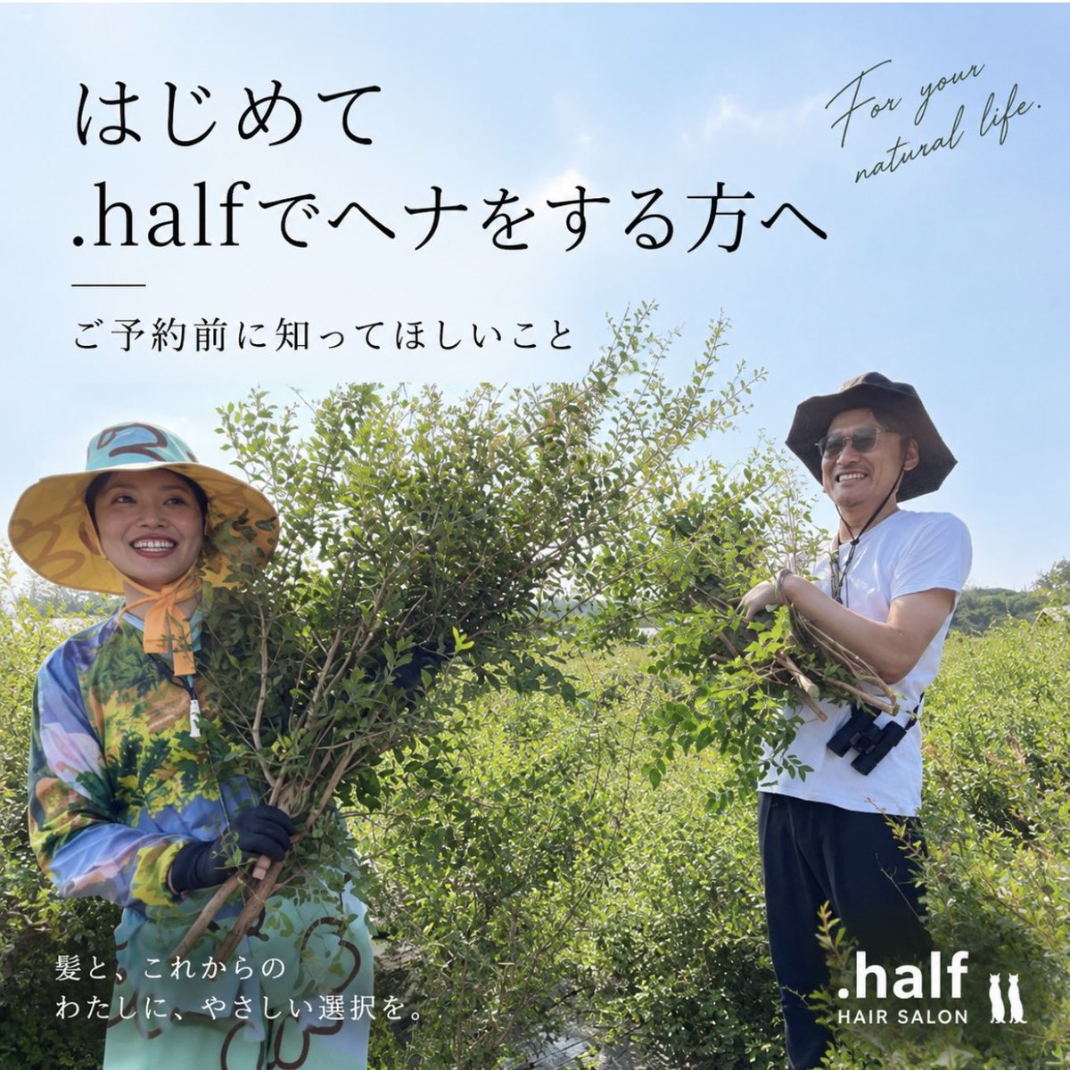 dot_half tweet picture
