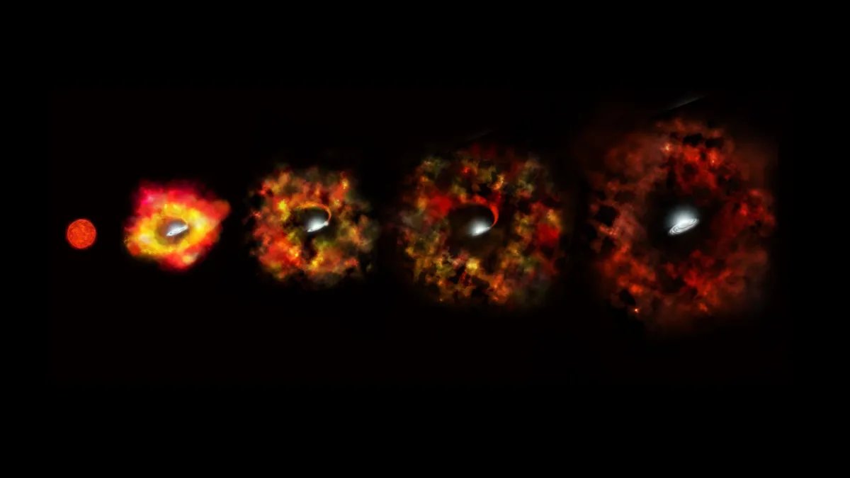 GastonGiribet's tweet photo. El paper https://t.co/JY2dvAHkeW reporta que la transformación de sabor que experimentan los neutrinos puede alterar la capacidad de explosión de las estrellas masivas (especialmente en el rango de masas de 16 a 30 masas solares) y modificar, así, la distribución de masas de los https://t.co/BXfl6Ns3XE