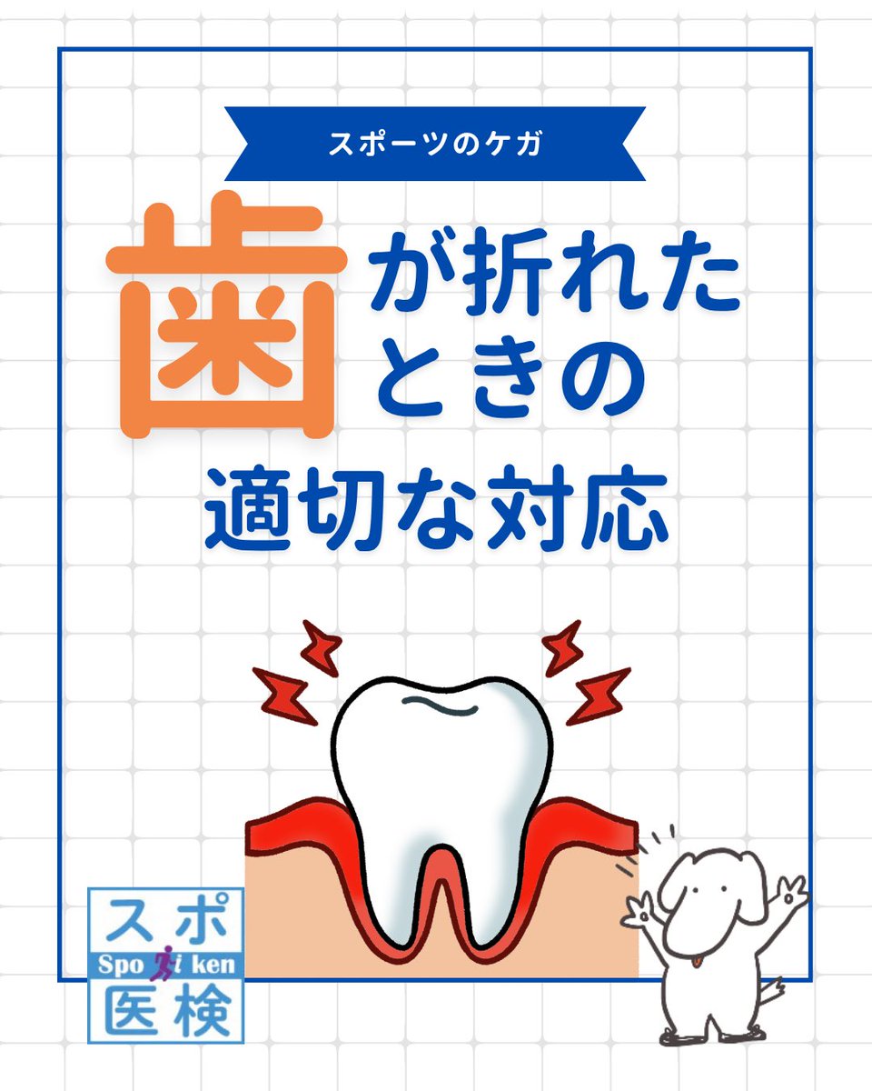 hustlespoken's tweet photo. スポーツ中に起こる、歯のケガについて🦷

もし歯が折れてしまったら、歯根部をなるべく触らずに適切な保存液に浸して早急に歯科を受診してスポ。

汚れていても、取れた歯を水道水でゴシゴシ洗うのは厳禁スポ！🚰⚠️

#スポーツ医学検定 https://t.co/GVrdsZMaAt