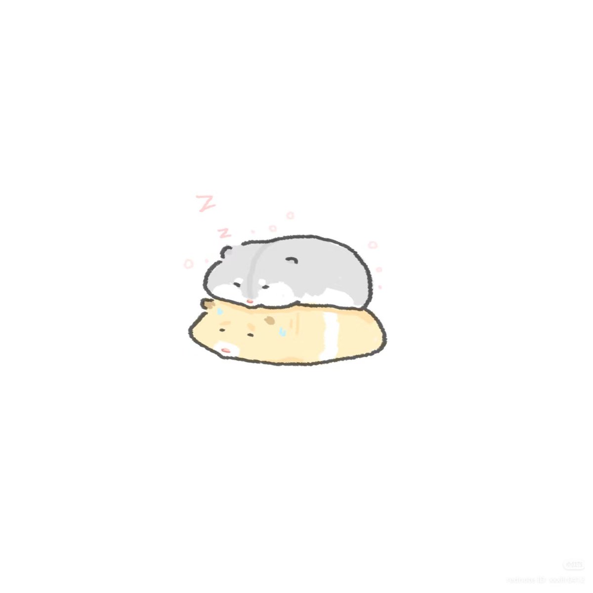 TweetsOfHamster's tweet photo. https://t.co/cfhijFqjGt