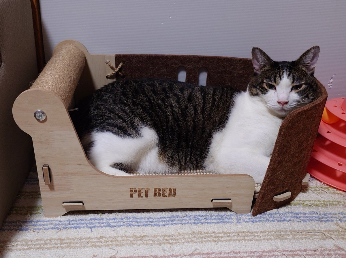 hellfire717's tweet photo. 新しい猫ちゃんの爪とぎベッドを買いました。
壁がフェルトなんですけど、ちゃんと固定が出来なくて、猫ちゃんが寄りかかると崩壊寸前に💦
なので、穴を開けて結束バンドで固定しました（4枚目）
ちなみに、みゆちゃんとさくちゃんの写真ですが、どちらも同じベッドです🤣 https://t.co/PYJ7la46Ax