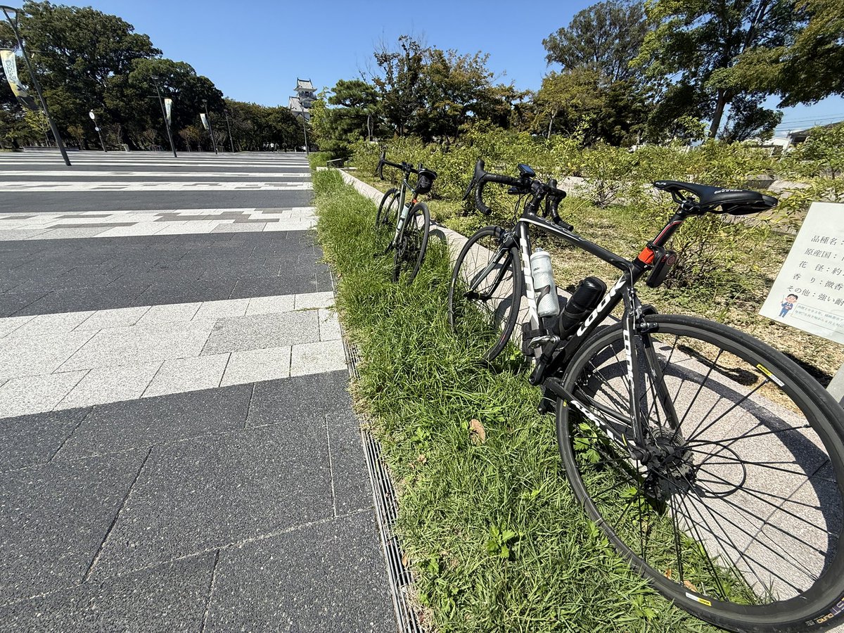 Jiro0912's tweet photo. 水鳥公園の小鮎丼、間違いない！ https://t.co/55SCyeZLRX