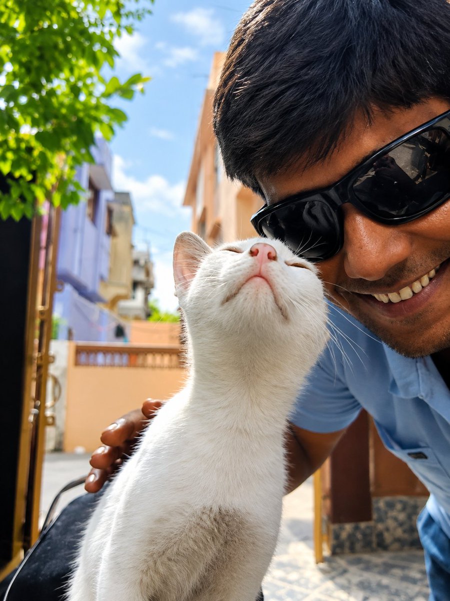 ajeetmankind's tweet photo. Good morning everyone 😻 https://t.co/I0GOgXaanX