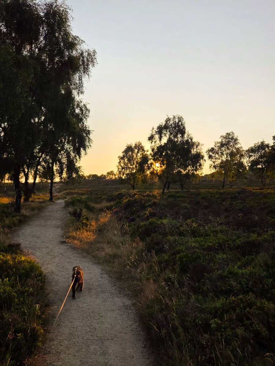 isabellaron0bc's tweet photo. Holiday walks—swipe to see my views this week. The best time! I loved my first holiday! B x https://t.co/pIcdexpG5H