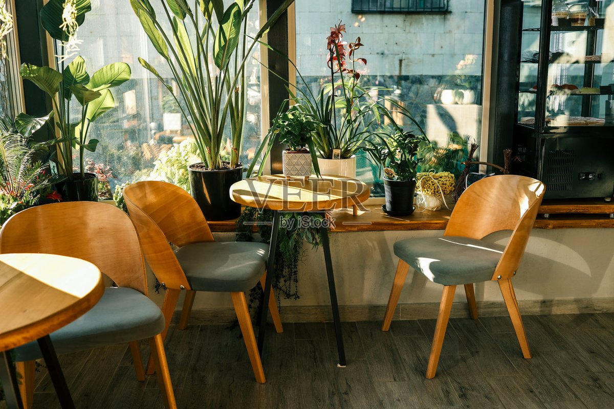 TashaWroblz7's tweet photo. [Turns out my desk plant and I have the same coffee dependency—we both perk up only after my morning latte. #WorkLaughs]， https://t.co/3jB22G3zAY