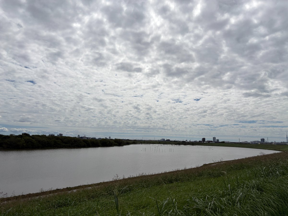 cardilife_app's tweet photo. First ride in about 10 days after a stretch of rainy weather.

The typhoon has passed and the river is running higher than usual. 31°C（88°F）, almost no wind. A good day to be back on the bike.

#roadbike #cycling #cyclinglife #riverside #Japan #台風一過 https://t.co/h5kqy1oH78