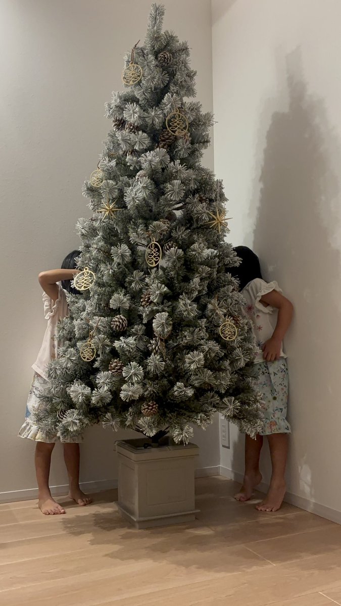 unagipa's tweet photo. アルザスツリー開封の儀🎄

松ぼっくり本物だ〜
粉雪がふんわり積もったようでとっても可愛い❤︎
娘たちも気に入ってくれたようで嬉しい☺️ https://t.co/9ItfTylpTs