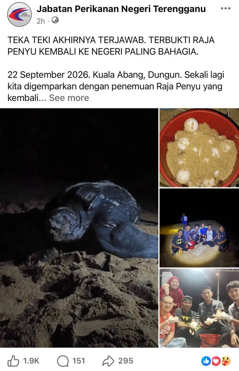 climateaidil's tweet photo. Leatherback sea turtles are back in Malaysia!

This morning, the Department of Fisheries Terengganu reported another female nesting at Pantai Kuala Abang. 70 eggs have been safely relocated a turtle hatchery. This is amazing news for conservation &amp; our biodiversity. https://t.co/Bs1GDNDgsH