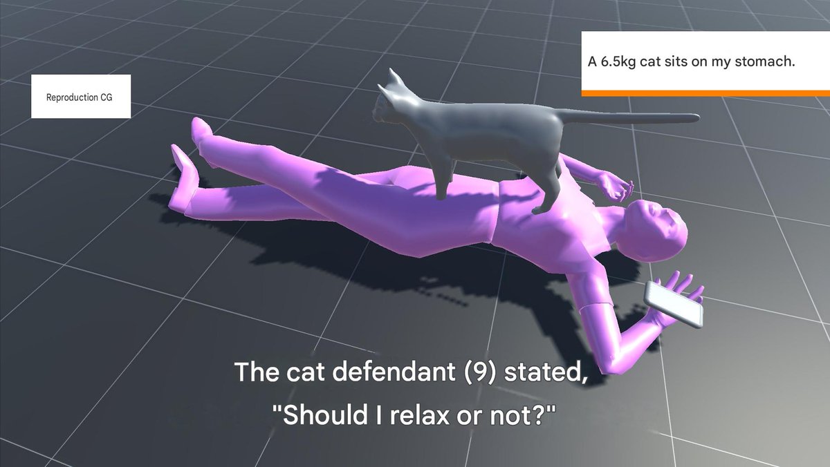 dinguesser's tweet photo. the cat defendant https://t.co/DJ84JSOjAC