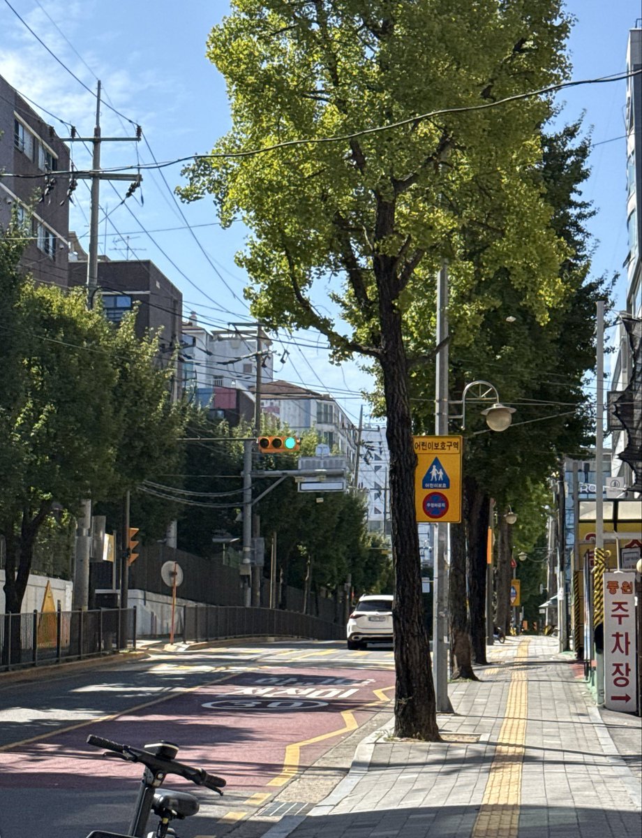 elzjin's tweet photo. https://t.co/wYRbpzxzcO