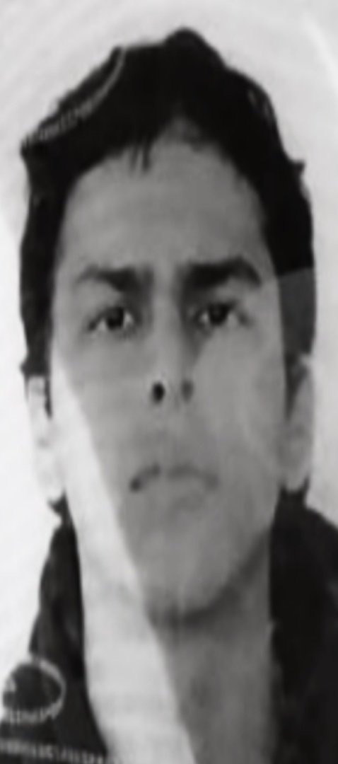 Jefbp033's tweet photo. La verdad ves estas caras y no confias que pasen el dia 1 

Gran logro para 3 imbéciles 🔥🔥🐐 https://t.co/1Vxklo57sT