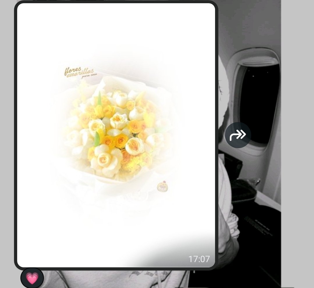 o79ky's tweet photo. Qué suerte la mía de tener personas tan bonitas en mi vida y poder recibir estos pequeños gestos que significan muchísimo para mí. Son las flores más hermosas que recibí de mis tres personitas favoritas: mi amado, Aceite de Oliva y mi hermanito precioso. https://t.co/gIdNyHPtGW