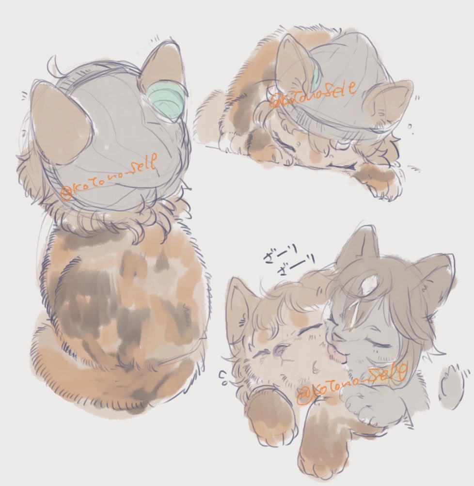 Kotono_Self's tweet photo. こねこも再掲しておこう🐟

⚠️擬獣化 https://t.co/i4HSuAtDKW