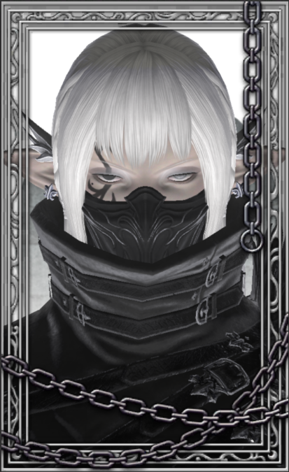 gag0rder's tweet photo. elezen https://t.co/6SSouXgcY7