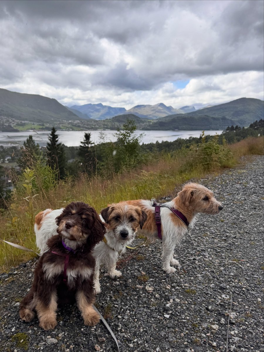 hazeljacksonqso's tweet photo. It’s always fun when Ellie joins us. Look at her—she’ll soon be bigger than us. https://t.co/47XgId9fV3