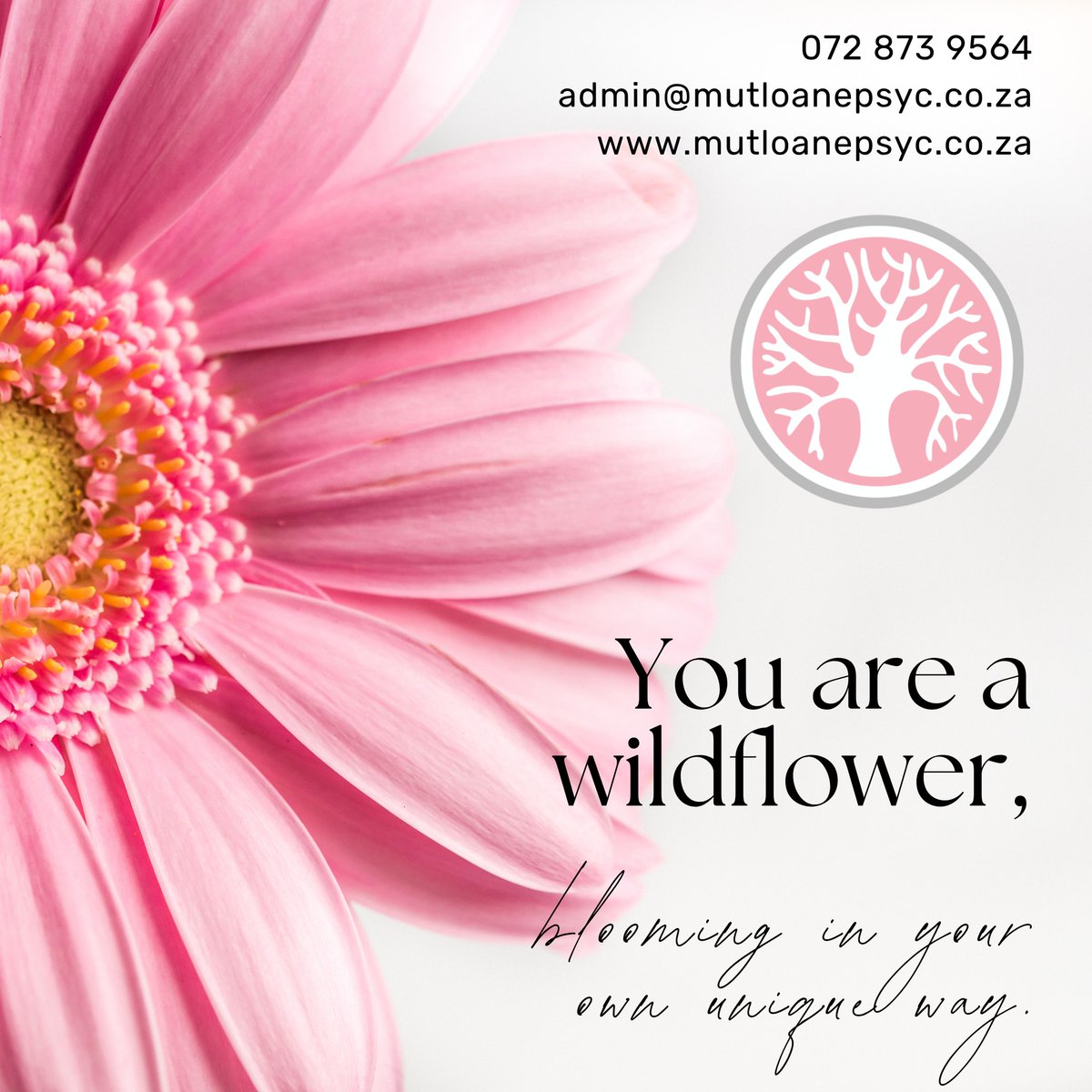 ThomasSantoip4's tweet photo. 🌸 Not everyone blooms the same way—and that’s the beauty of it. We all grow in our own time, in our own way. There’s strength in standing out and power in being true to yourself. Whatsapp
Call: +27 72 873 9564
Email: admin@mutloanepsyc. co. https://t.co/yQflyJ26RY