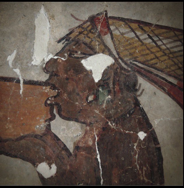 edificiosmayas's tweet photo. Las pinturas murales de la Estructura Sub 1-4
de Chiik Nahb, en Calakmul, Campeche. https://t.co/5UlwNdqlYH