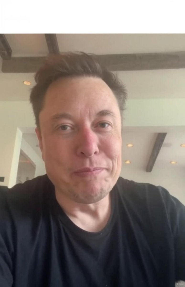 elonR_Musk1971's tweet photo. Just checking in from a very ordinary moment. 🚀😎 Sometimes the best ideas come when you stop overthinking and just enjoy the moment. What are you working on today? 👀” https://t.co/u7AR34BswD