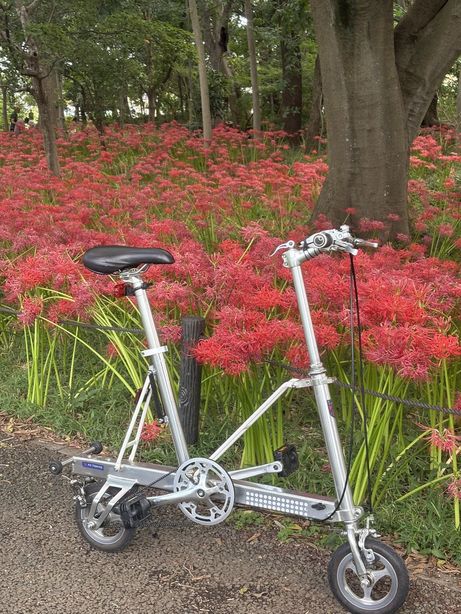 cramtokyo's tweet photo. 気がついたら秋
少し遠くに行きたいなぁ
#carryme https://t.co/U9hlwMnaew