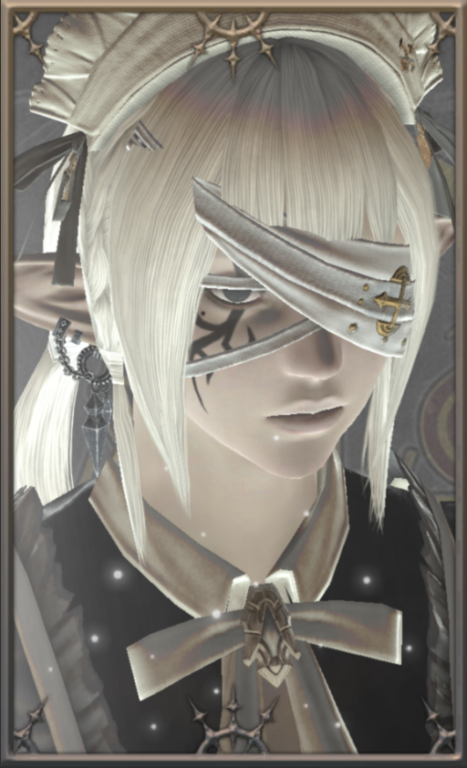 gag0rder's tweet photo. elezen https://t.co/6SSouXgcY7