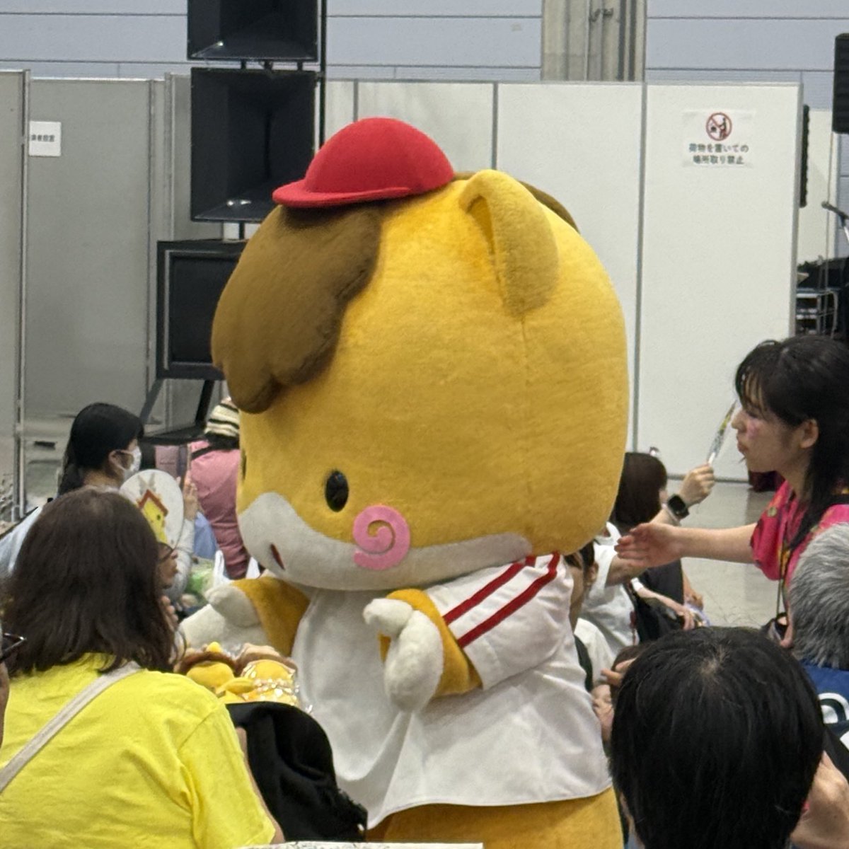 gunma_gunmachan's tweet photo. 借り物競走に出たよ！
みんな優勝〜🌟🐴

#しまねっこまつり 
#ぐんまちゃん #群馬 https://t.co/ggujNZMjwx