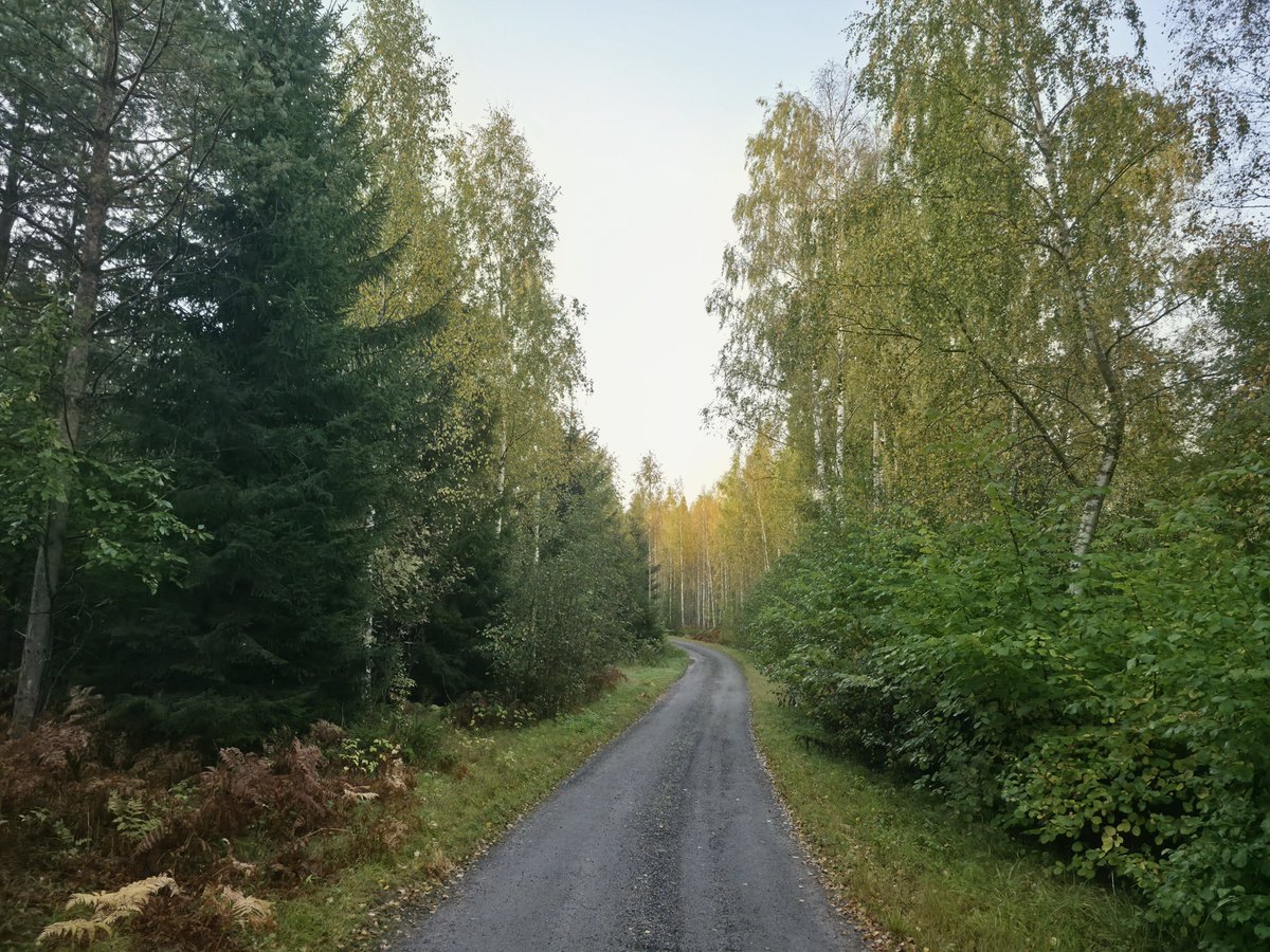 Zehov's tweet photo. Good Tuesday. https://t.co/WtAkGGYCEn