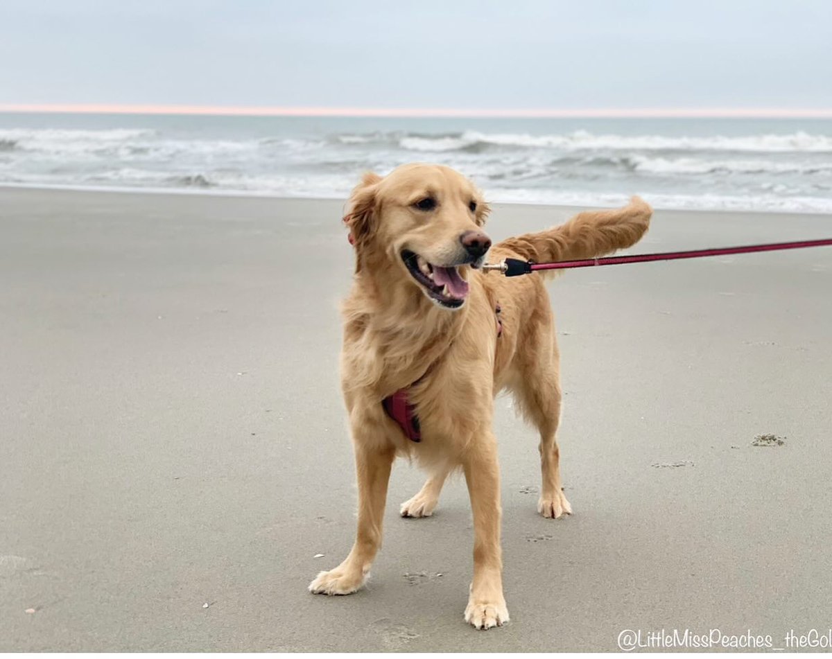 addisonrobgn57's tweet photo. Woohoo… the weekend is almost here! https://t.co/QfwyZkktU7