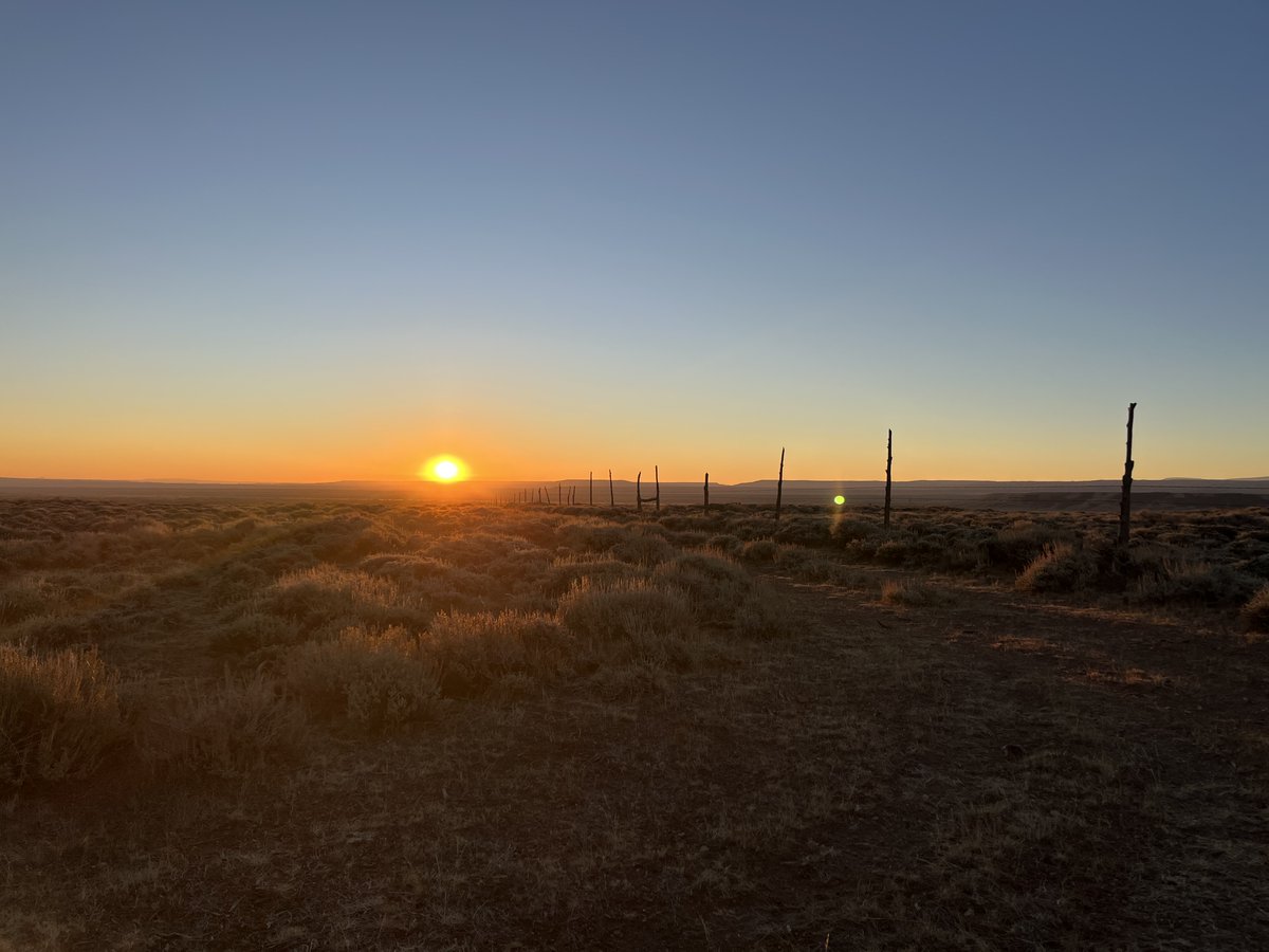 Gohuska's tweet photo. “Only that day dawns to which we are awake. There is more day to dawn. The sun is but a morning star.”

— Henry David Thoreau, Walden https://t.co/hz0kinVHsH
