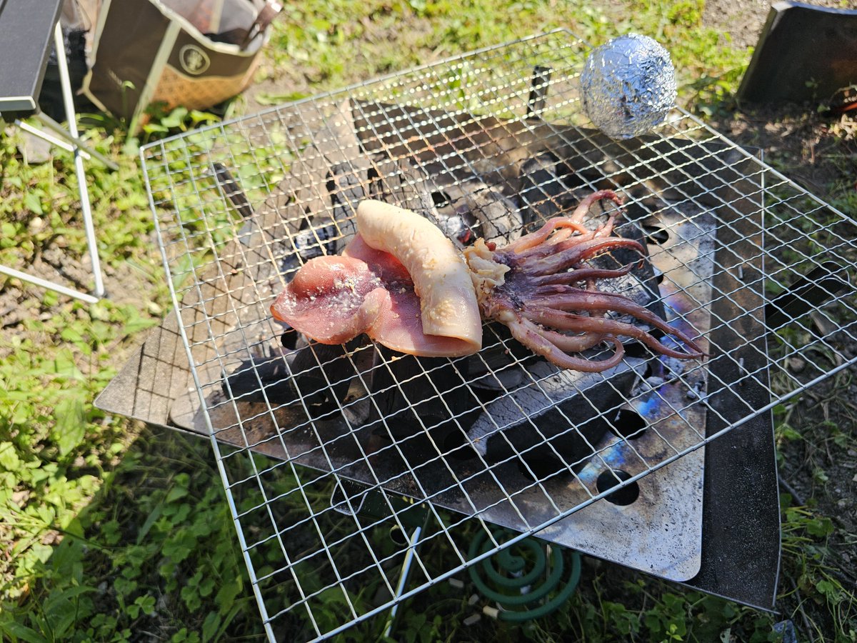 _rokkun_'s tweet photo. 庭でイカ焼いてる https://t.co/qZCJadRWeJ