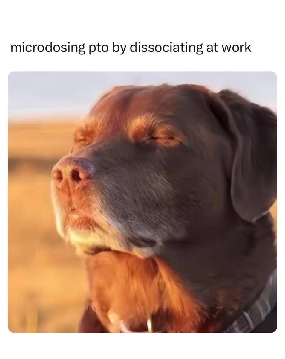 mindsetmeme tweet picture
