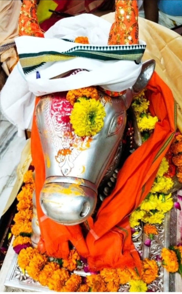 SUBRATSMSM's tweet photo. 🙏🏻🌹 *जय श्री महाकाल*🌹🙏🏻
*श्री महाकालेश्वर ज्योतिर्लिंग का आज का भस्मारती शृंगार दर्शन*🚩🚩
 *🔱२२ सितंबर २०२६ (मंगलवार) 🔱* https://t.co/3jq1Gf5Pcv