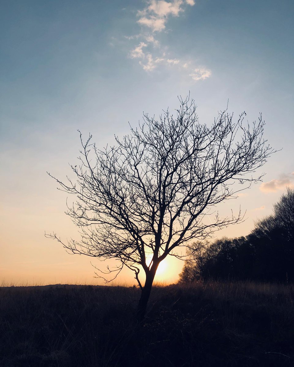 jameswilson74xp's tweet photo. Beautiful evening yesterday. https://t.co/UQoeBA1f3R