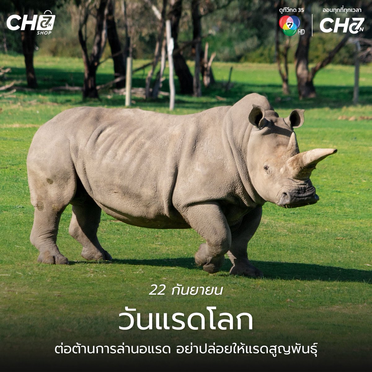 ch7onshop's tweet photo. 22 กันยายน วันแรดโลก (World Rhino Day)
อีกหนึ่งวันที่ย้ำเตือนถึงความสำคัญของการอนุรักษ์แรด และการปกป้องสัตว์ป่าจากภัยคุกคาม เพื่อให้พวกเขายังคงเป็นส่วนหนึ่งของธรรมชาติต่อไป 💚🌏

#Ch7HD #CH7ON #CH7ONSHOP
#วันแรดโลก #WorldRhinoDay  #รักษ์โลก #อนุรักษ์สัตว์ป่า https://t.co/XmWromrGGl