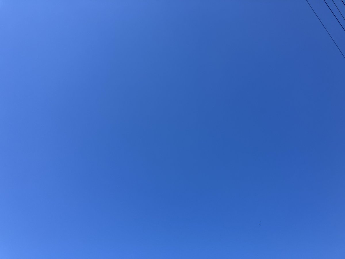 BaroqueSan's tweet photo. こんにちは、火曜日🌤️

台風一過

久々の青空
#こんにちは #キリトリセカイ #イマソラ https://t.co/FwEQS7WRA6