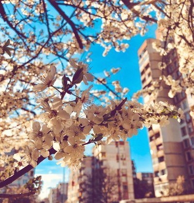 CDebates's tweet photo. 土曜日は布団から出る気力がなくて、結局ベッドの上でダラダラしてたわ。これが最高の休日 🛏️ https://t.co/mLVjP1Azyc