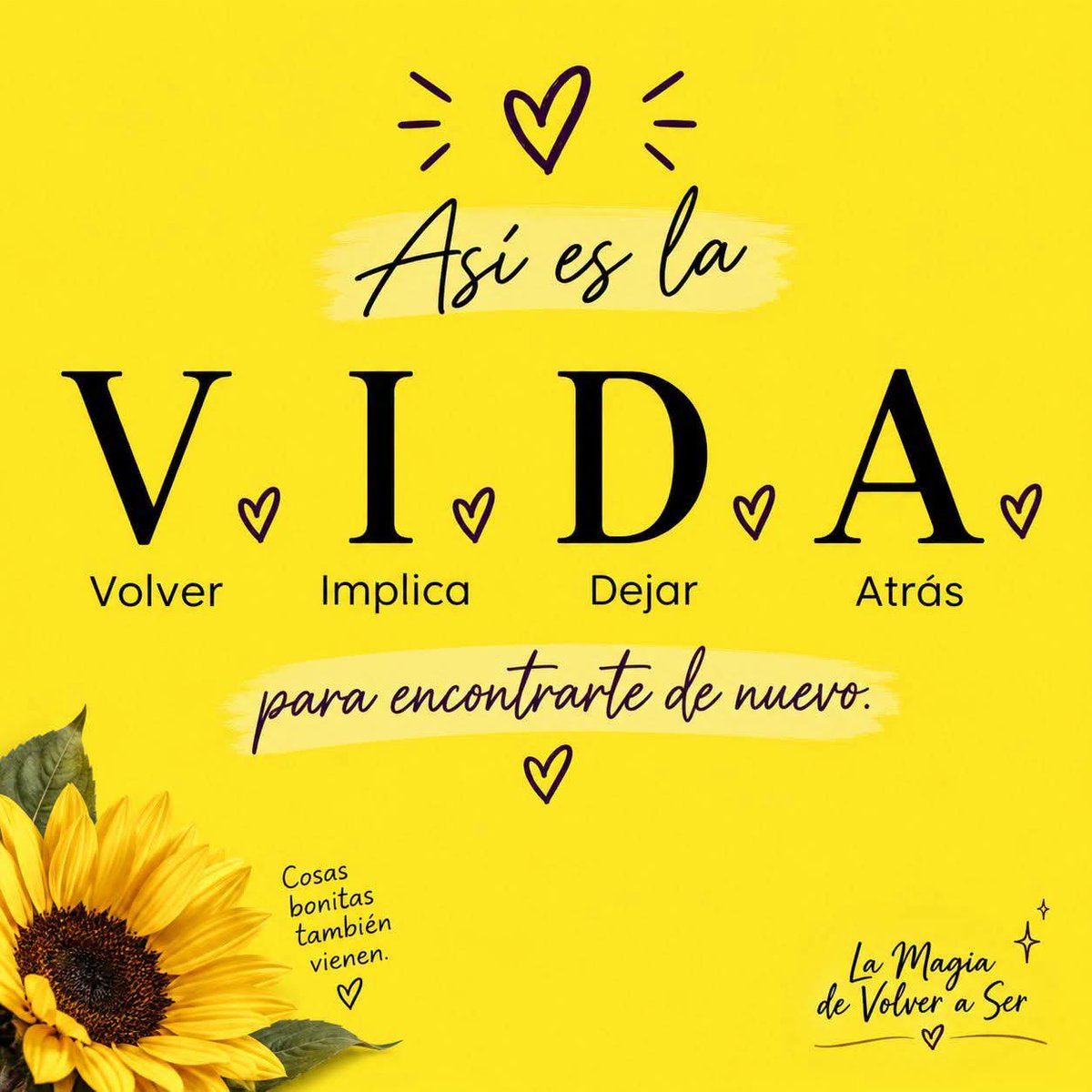 DelValleGreen's tweet photo. A veces avanzar también significa soltar lo que ya cumplió su ciclo. 💛✨

No estás dejando tu vida atrás… estás haciendo espacio para volver a encontrarte, pero esta vez más fuerte, más libre y más tú. 🌻

Vuelve a ti. Ahí también comienza la magia. 💫
Buenos días 🤗 https://t.co/urePtYSfS9