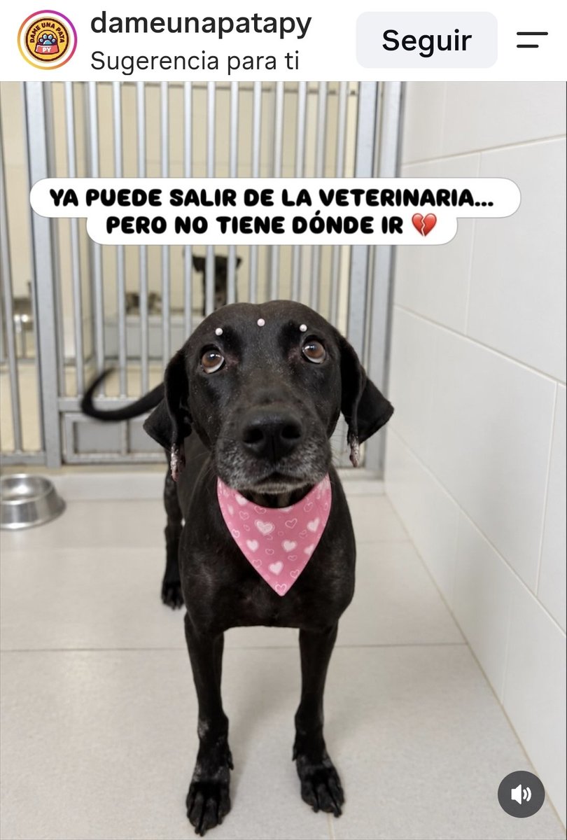 mariannojeda's tweet photo. https://t.co/rTWPRvTjhX