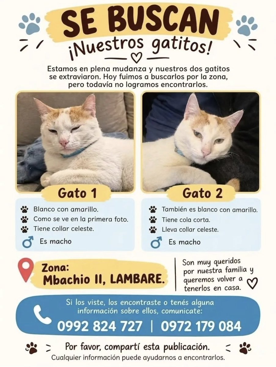 mariannojeda's tweet photo. Atención zona Mbachio II, Lambare,  si les viste por favor avisa a su Familia.  Se agradece compartir https://t.co/8LWYbfvFWq