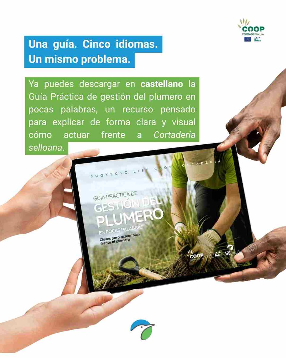 stopcortaderia's tweet photo. 👀Una guía. 5⃣ idiomas. Un mismo problema.

Descarga la Guía Práctica de gestión del plumero en pocas palabras, un recurso pensado para explicar de forma clara y visual cómo actuar frente al plumero.
🔗https://t.co/pAkod9KSBB

Próximamente en portugués, francés, gallego y euskera https://t.co/voUQj4Amii