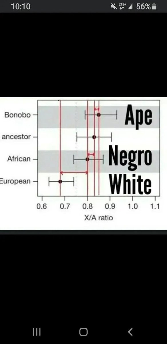 DenissioP's tweet photo. @theamerican45 Dumb bitch https://t.co/F67JxOhDMk