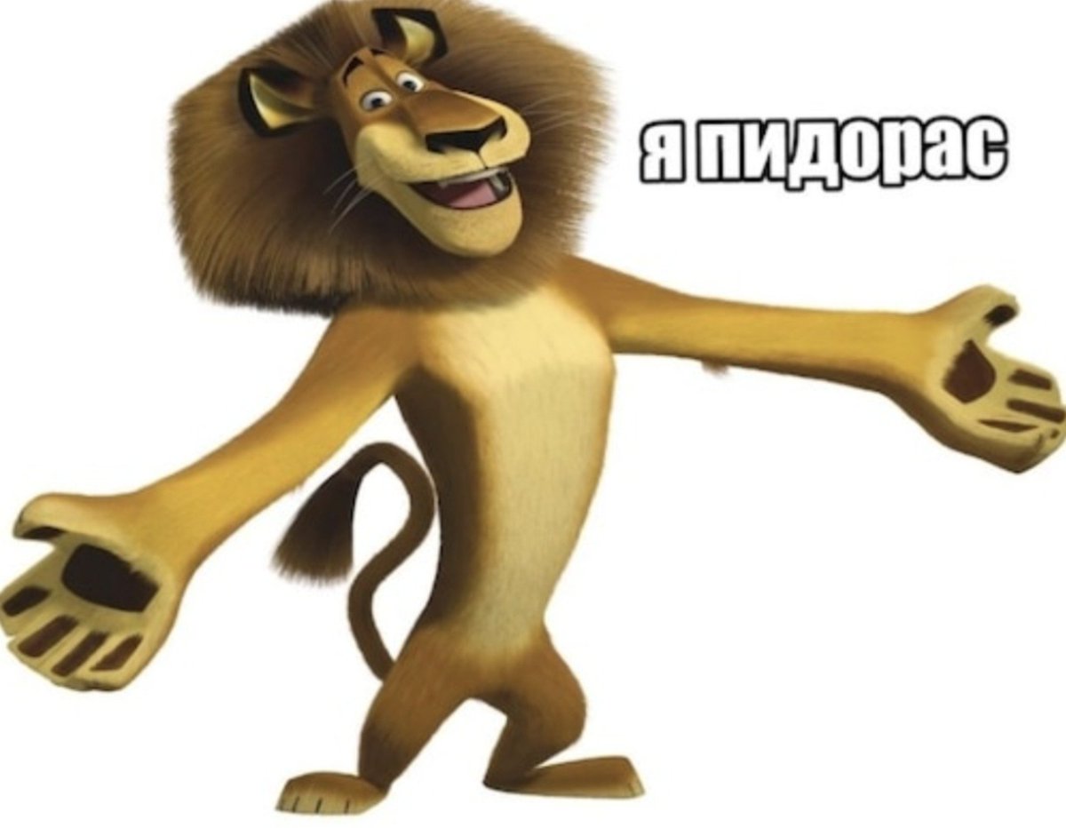 sunflewerish's tweet photo. Сука он опять это сделал https://t.co/Jc3crxgdQy