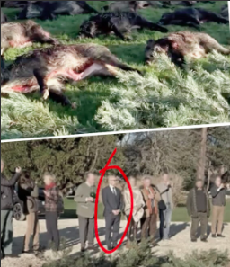 NiceVivre51166's tweet photo. Flatter, exploiter les attentes du peuple @eciotti 
Chasseur impitoyable osant plaider la cause animale !
Mise en scène démagogique d'un agent et d'une électrice.
#onnevouscroitpas

#UDR @MLP_officiel @RNational_off @VilledeNice @CollecCitoyen06 

@Mediapart https://t.co/CuDRqGA4SB