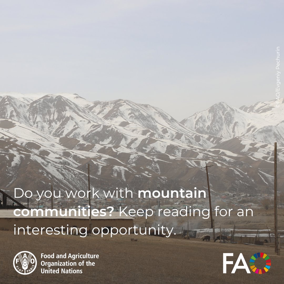 FAOKyrgyzstan's tweet photo. 🏔️ Applications are open for the Business Incubator and Accelerator (BIA) for Mountains Programme in Kyrgyzstan! Grants of USD 15K to 50K plus tailored technical support for mountain producers and enterprises.

Apply by 15 October 2026 

👉 https://t.co/Kran2mUXOW

#BIA2026 https://t.co/JCLKXj0sY4