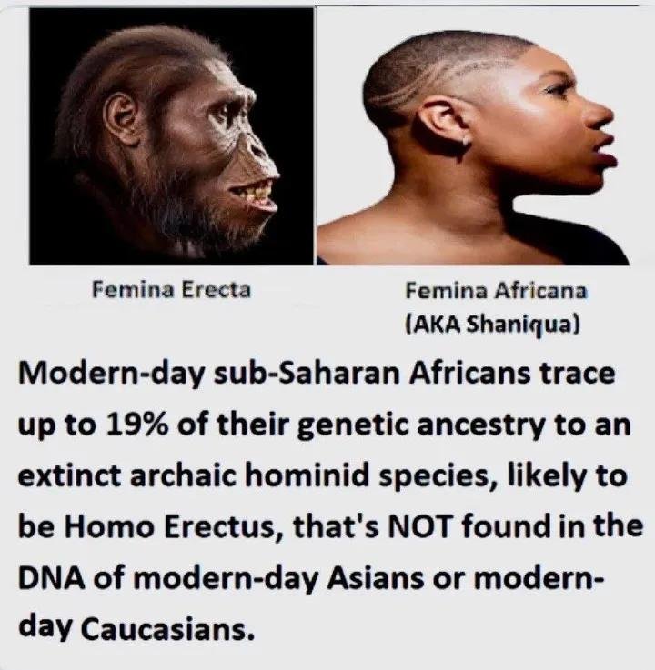 DenissioP's tweet photo. @dystopian465 Blacks actually are not even human origins 🤣💯🐒💩 https://t.co/XypkBnP2Gd