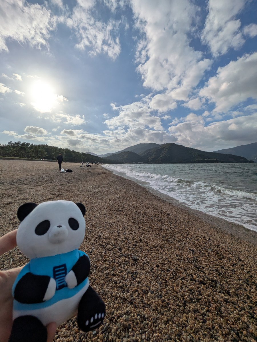 6uMtlo's tweet photo. 旅も終わりに近づくこの頃、浪の音が頭に響く
#旅するぱんだしあ https://t.co/Kh5rh2lcgJ