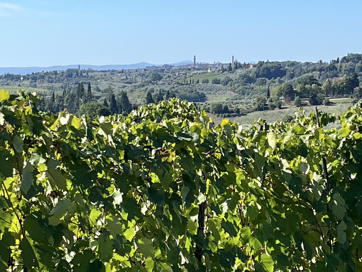 JohnMFodera's tweet photo. Querciavalle today! @chianticlassico Such a gorgeous family and estate. And the wines are amazing. As is the Olio. They should be on your radar. #Tuscanvines #RusticTuscanyTour https://t.co/wauTn1O5Sa
