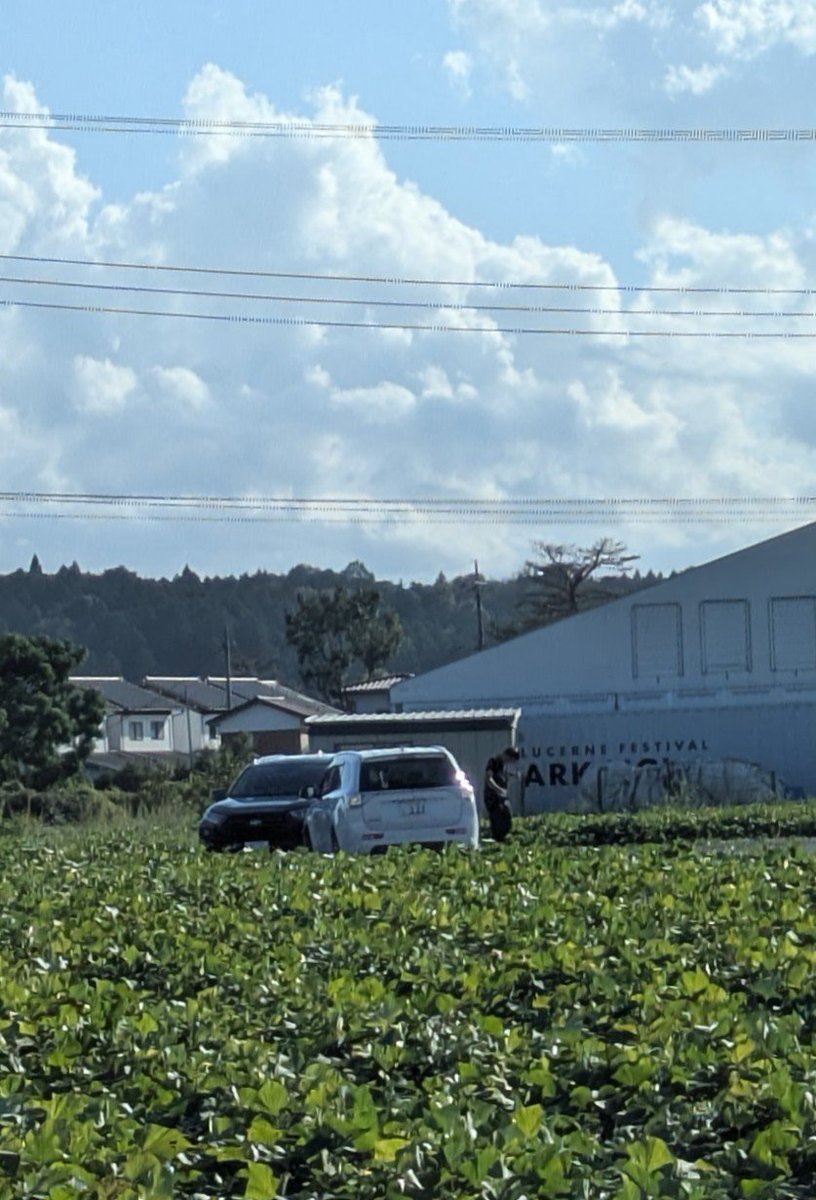 hollyfox310's tweet photo. 俺の畑で見慣れない車が停まってて「なにかありました？」って聞いたら「ここらで家建てたいって言う人がいて、ここらって調整区域ですよね～？」って言われ適当に返して離れたらゴミ捨てられてた

不動産屋だろ

ソーラーといい、なんで畑って
こんな扱いばっかなんだろ
誇り持って作ってるんだけど https://t.co/AZo9L0F9D5